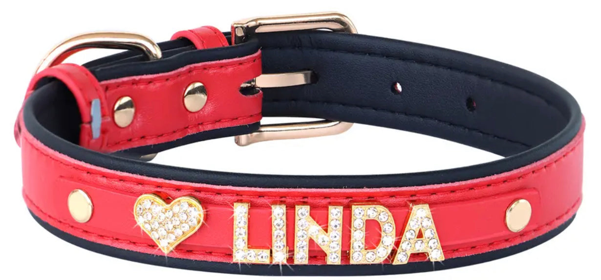 Personalized Dog Collar