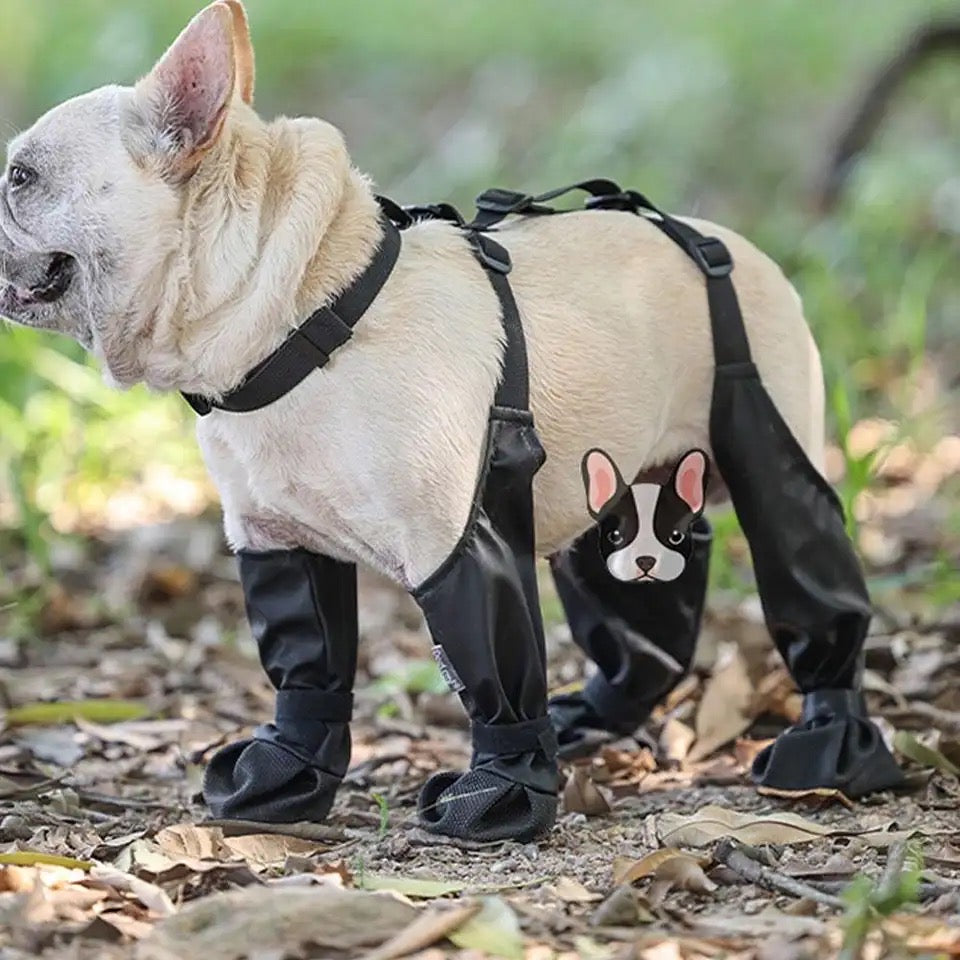 Dog Boots