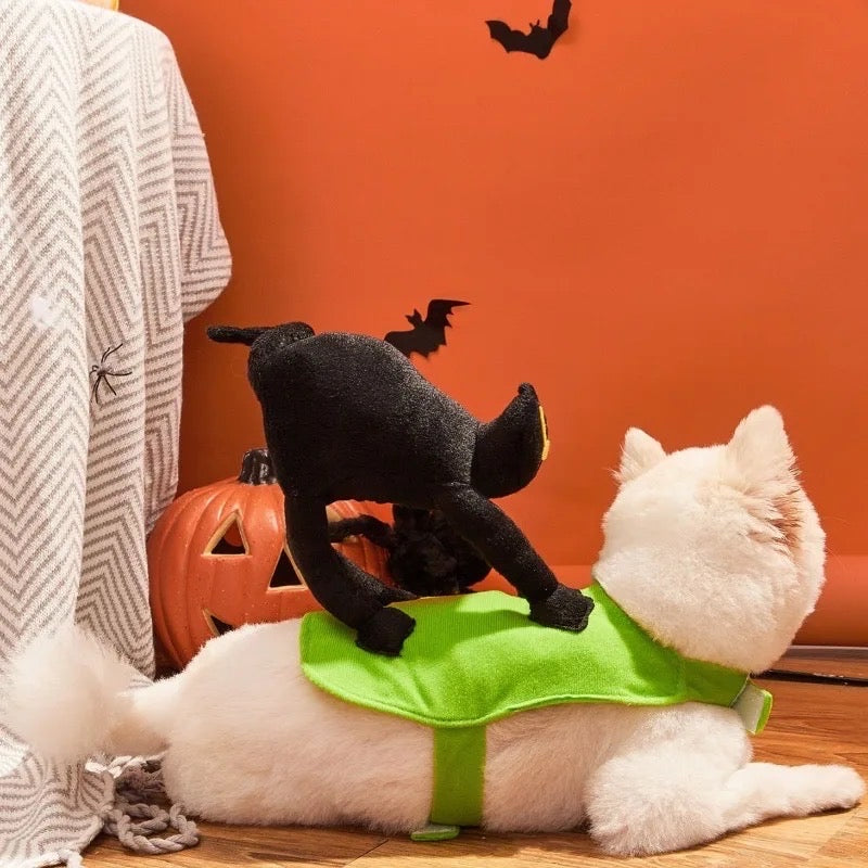 A Scaredy Cat Halloween Costume