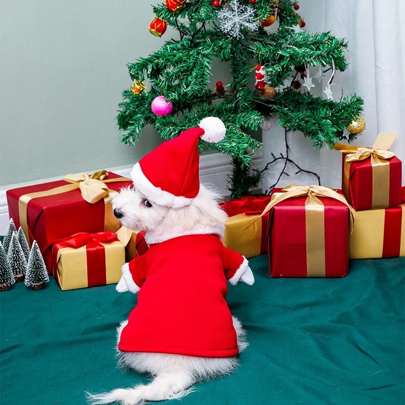 Santa Claws Is Coming To Town