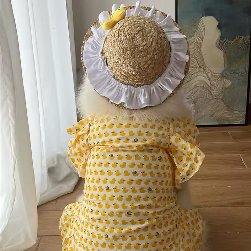 Summertime Happiness Dress Set