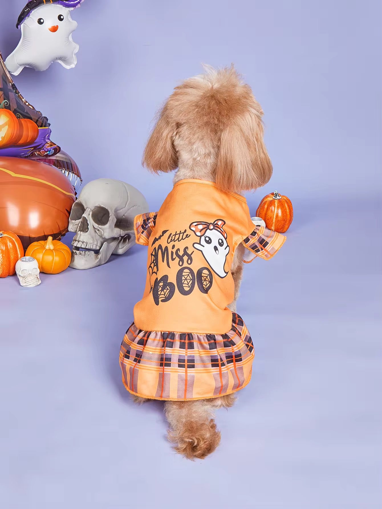 Miss Boo Halloween Dresd