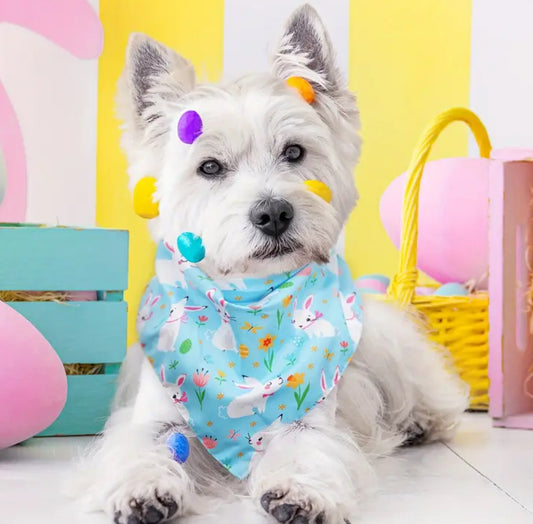 Easter Bunny Bandana