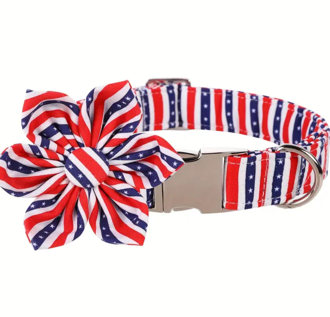 Independence Day Collar