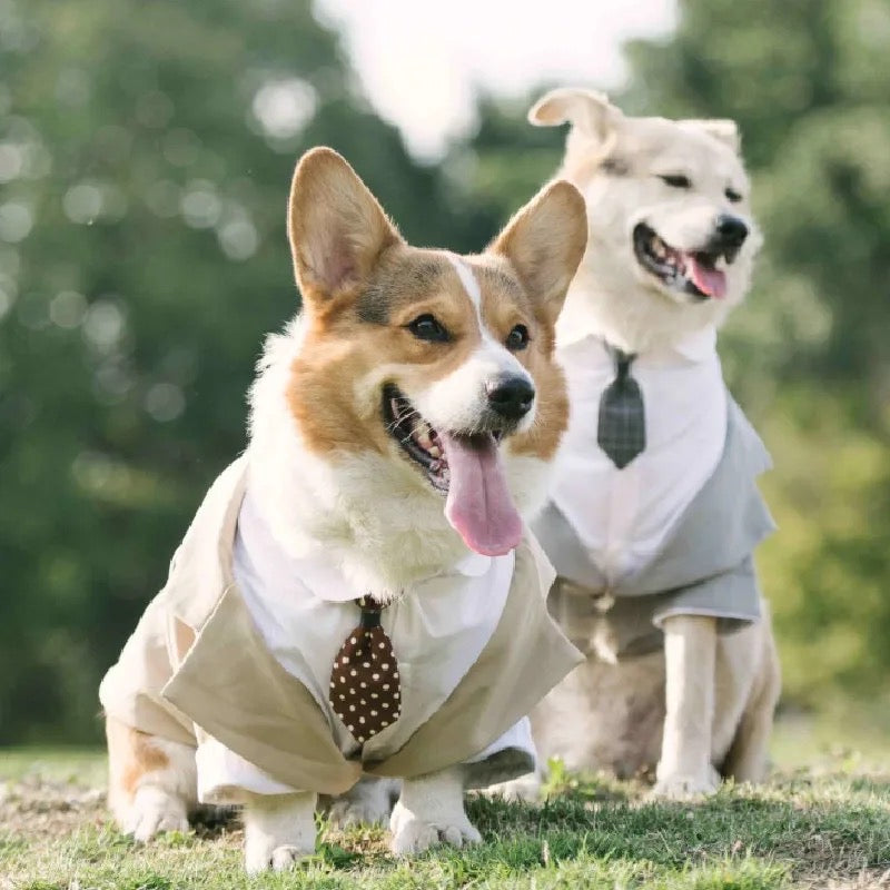 Wedding Tuxedo