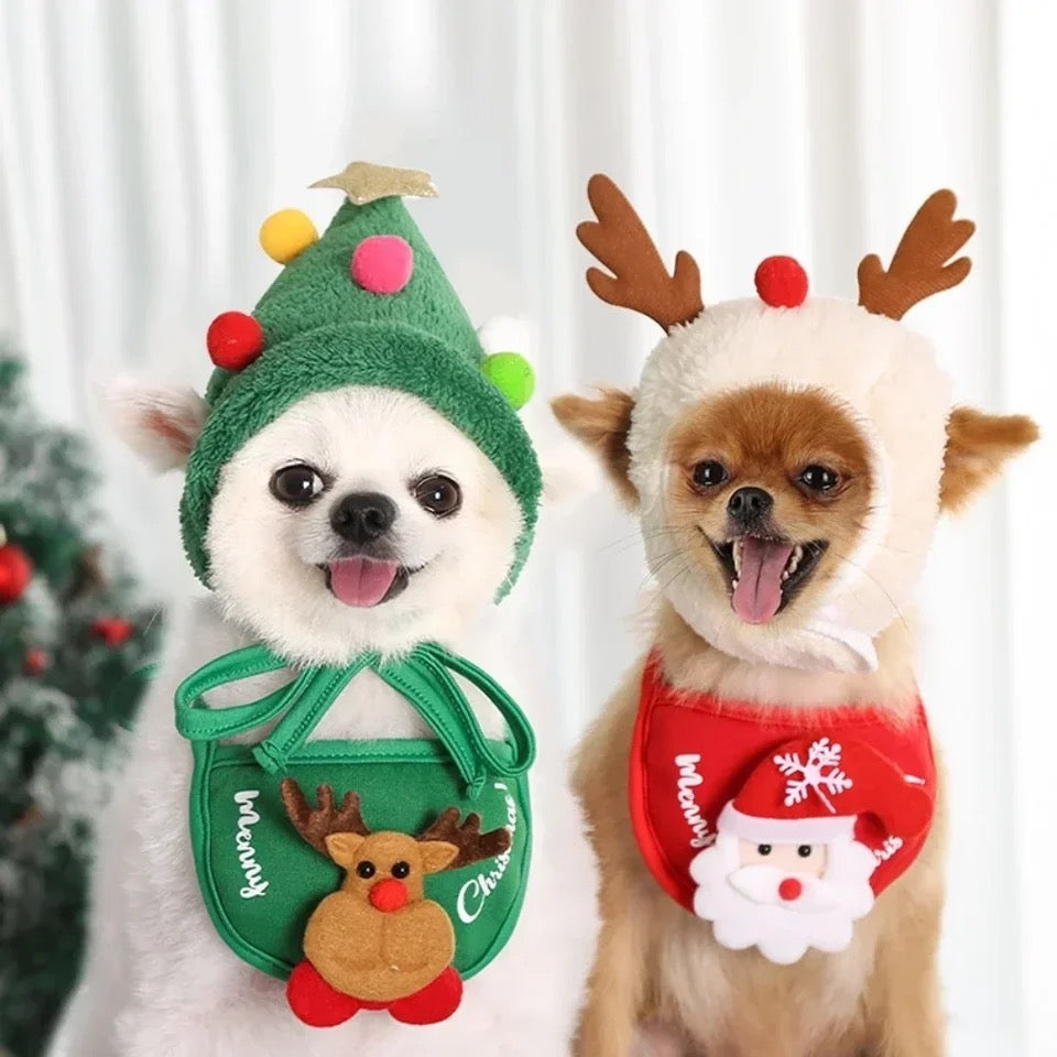 Christmas Costume Set