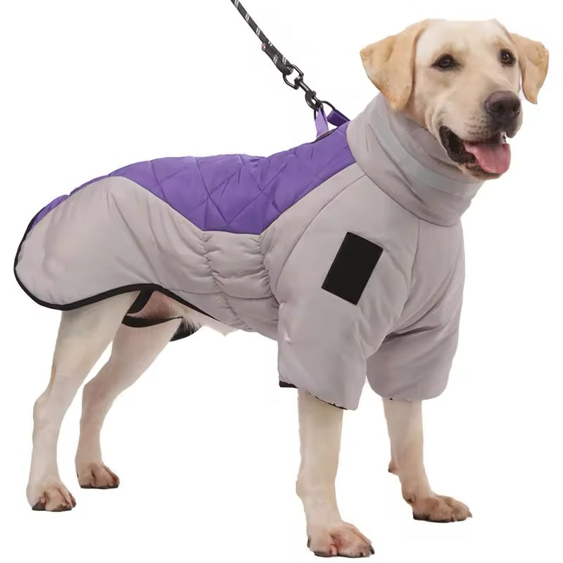 Winter Pet Jacket