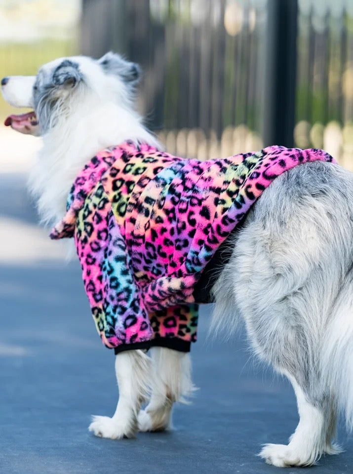 Rainbow Leopard Jacket