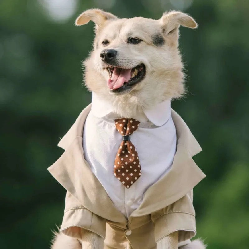 Wedding Tuxedo