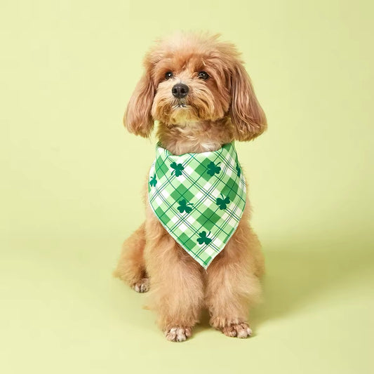 Saint Patrick’s Day Bandana