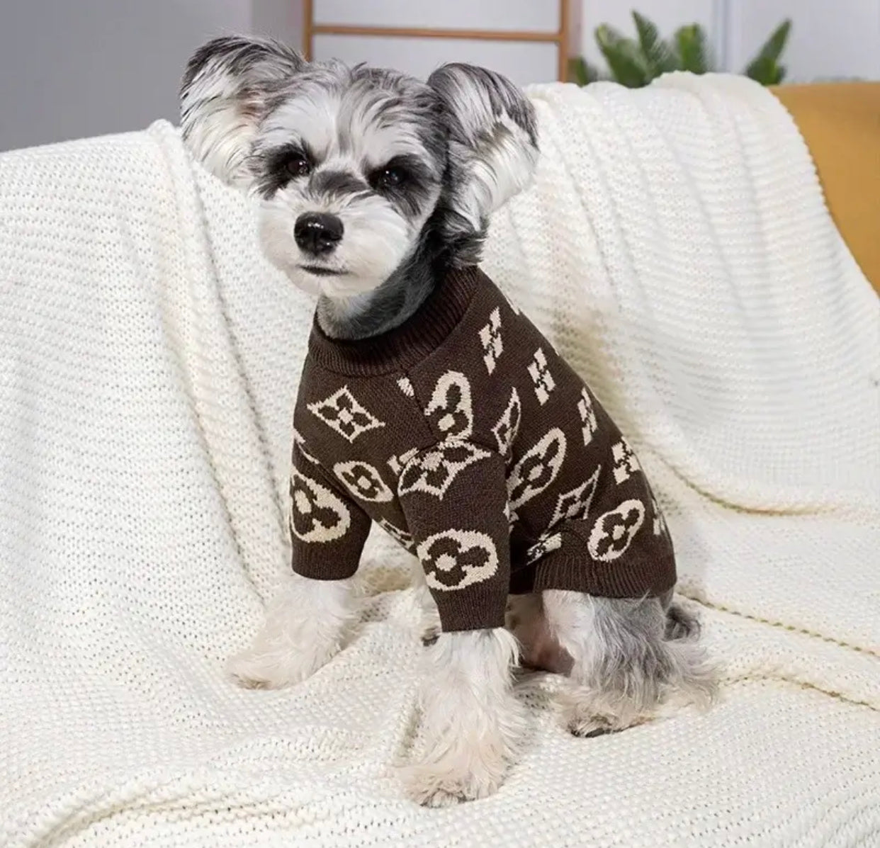 Chewy Vuitawn Sweater - Brown