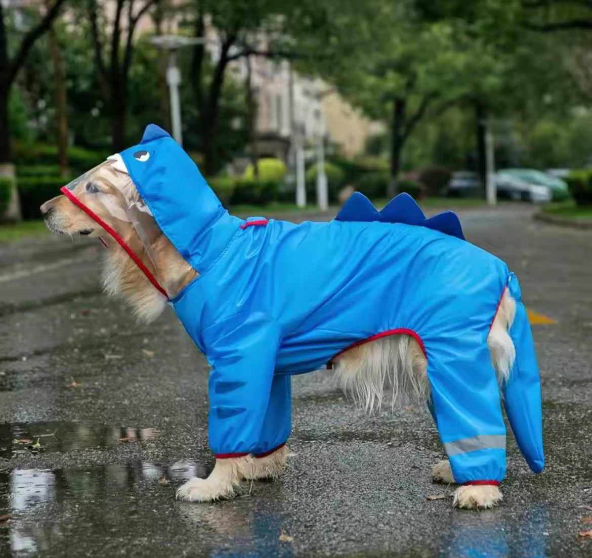 Vancouver Rain Jacket