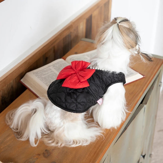 Red Bow Dress