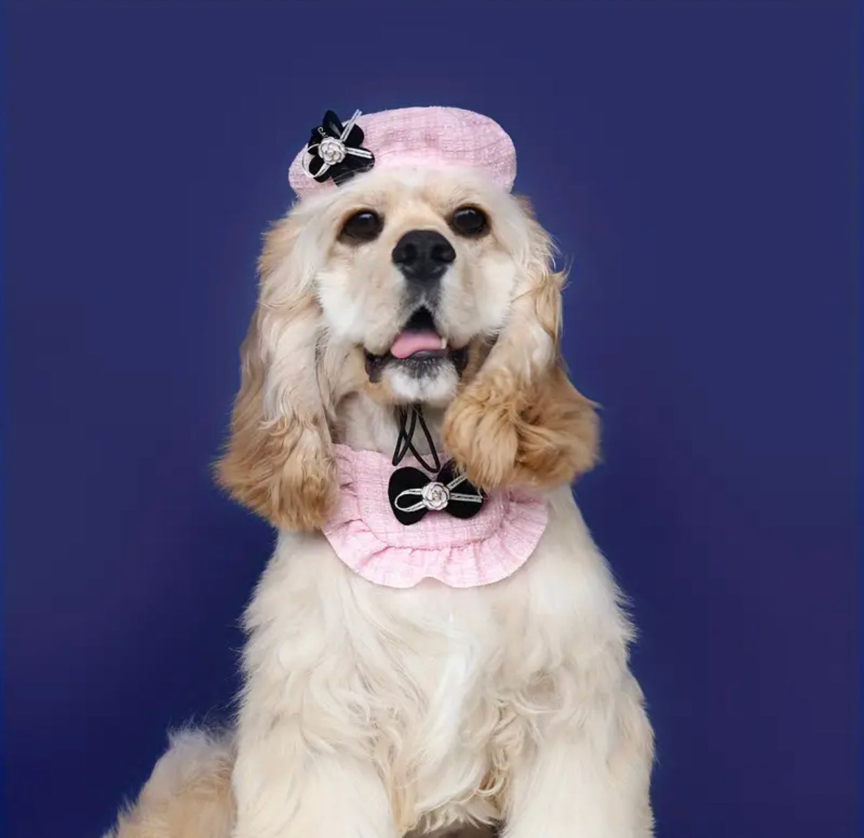 Chewnel Bandana & Beret