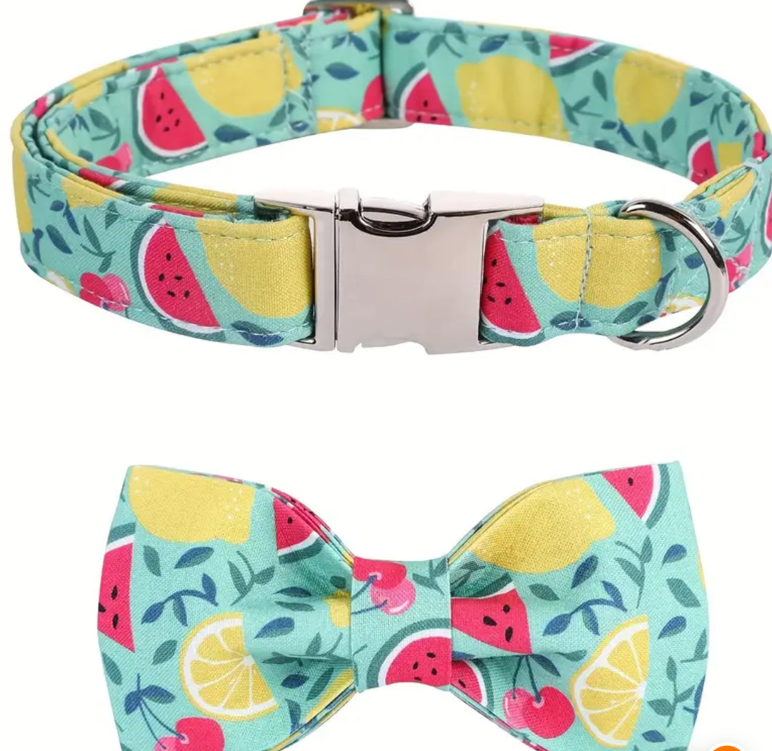 Watermelon Bow tie Collar