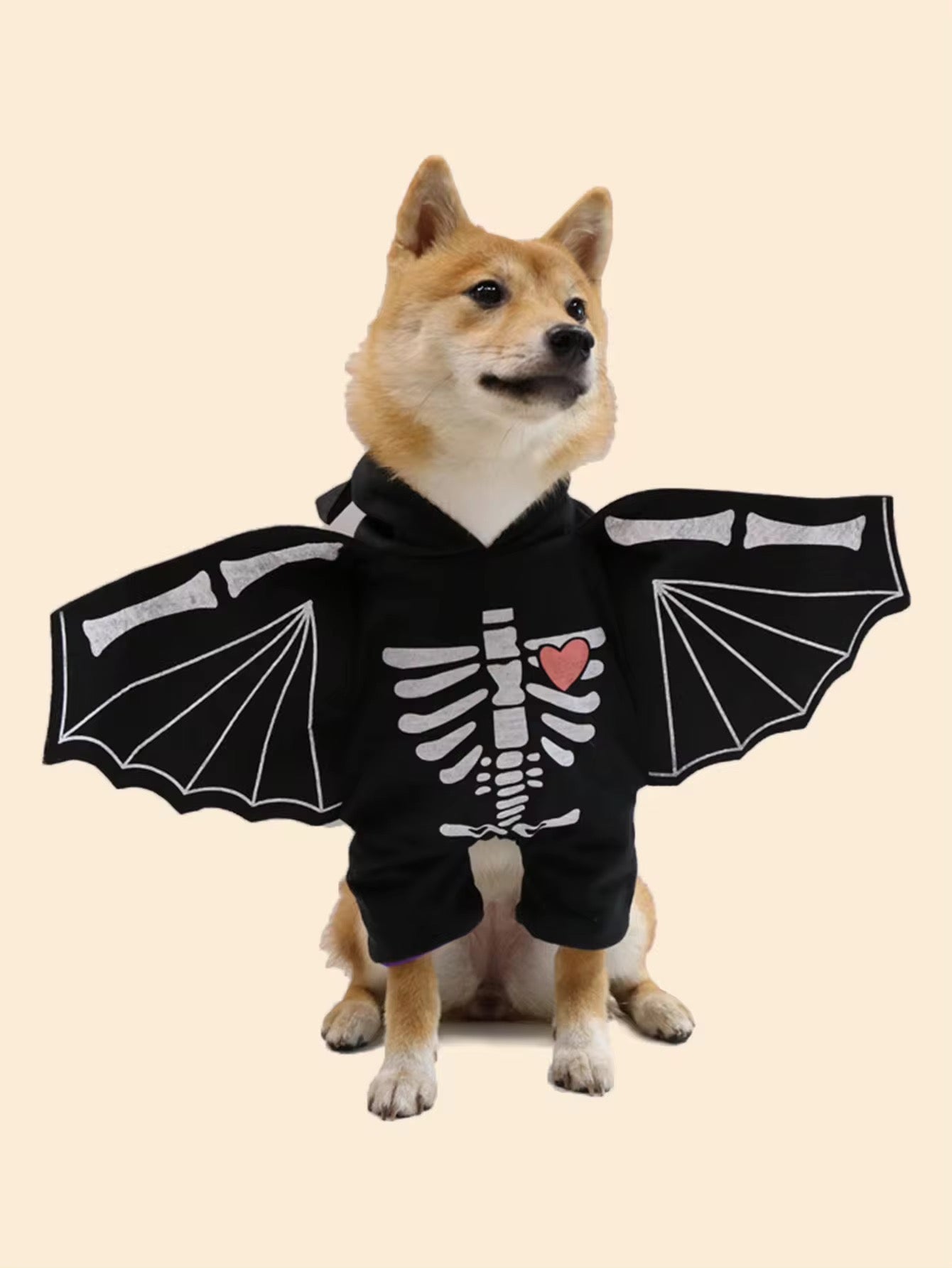 BatDog Halloween Costume