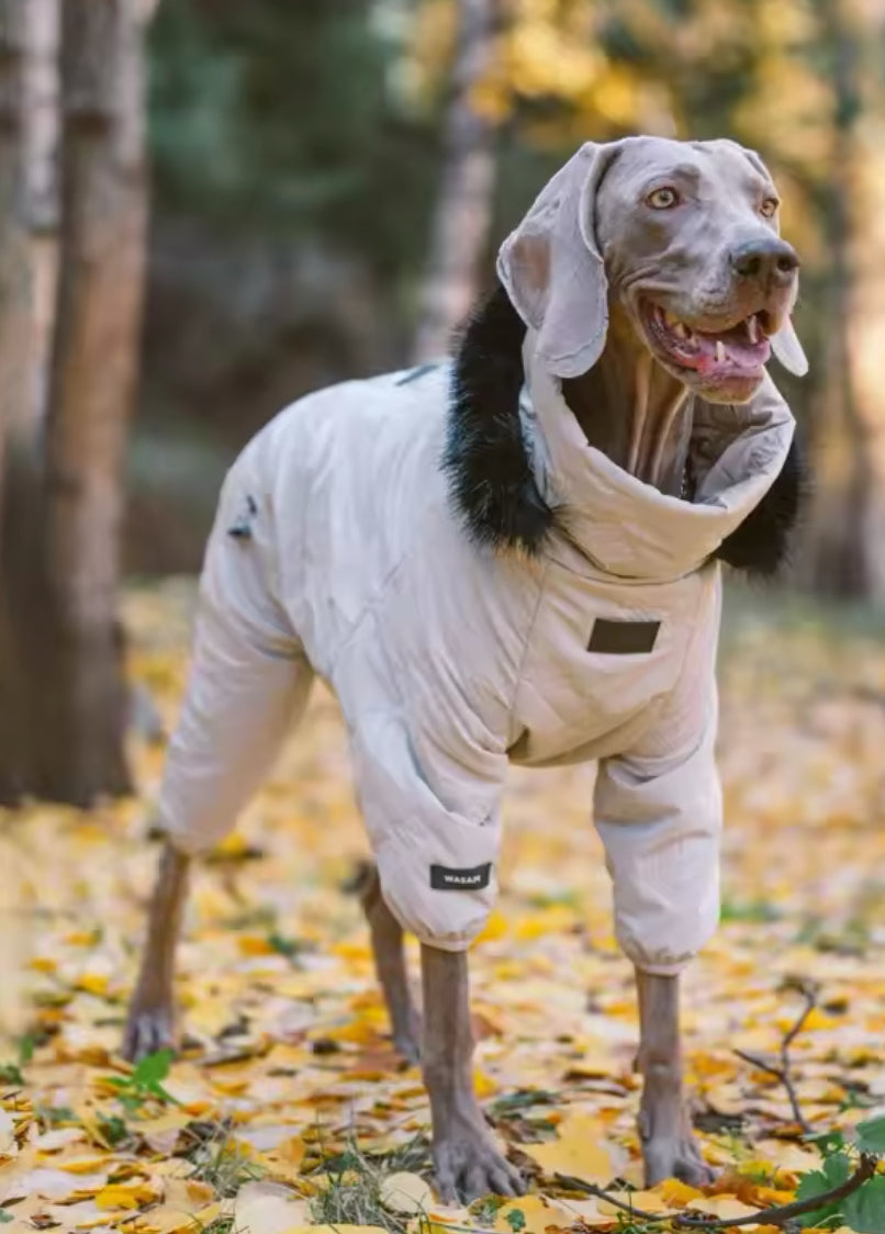 Winter Doggy Jacket