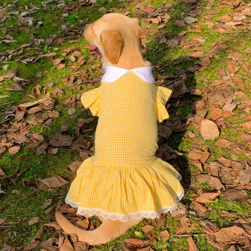 Big Doggie Dress