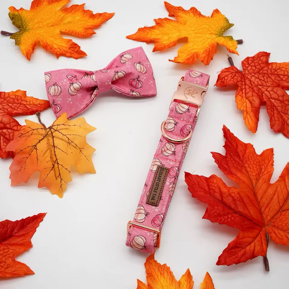 Pink Pumpkin Collar