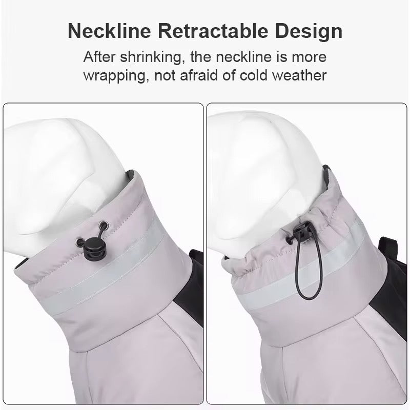 Winter Pet Jacket