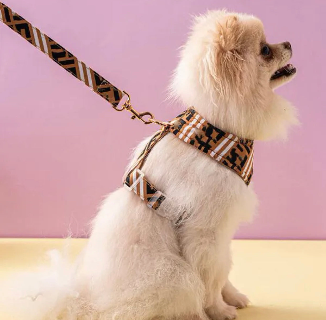 Furendi Harness and Leash Set