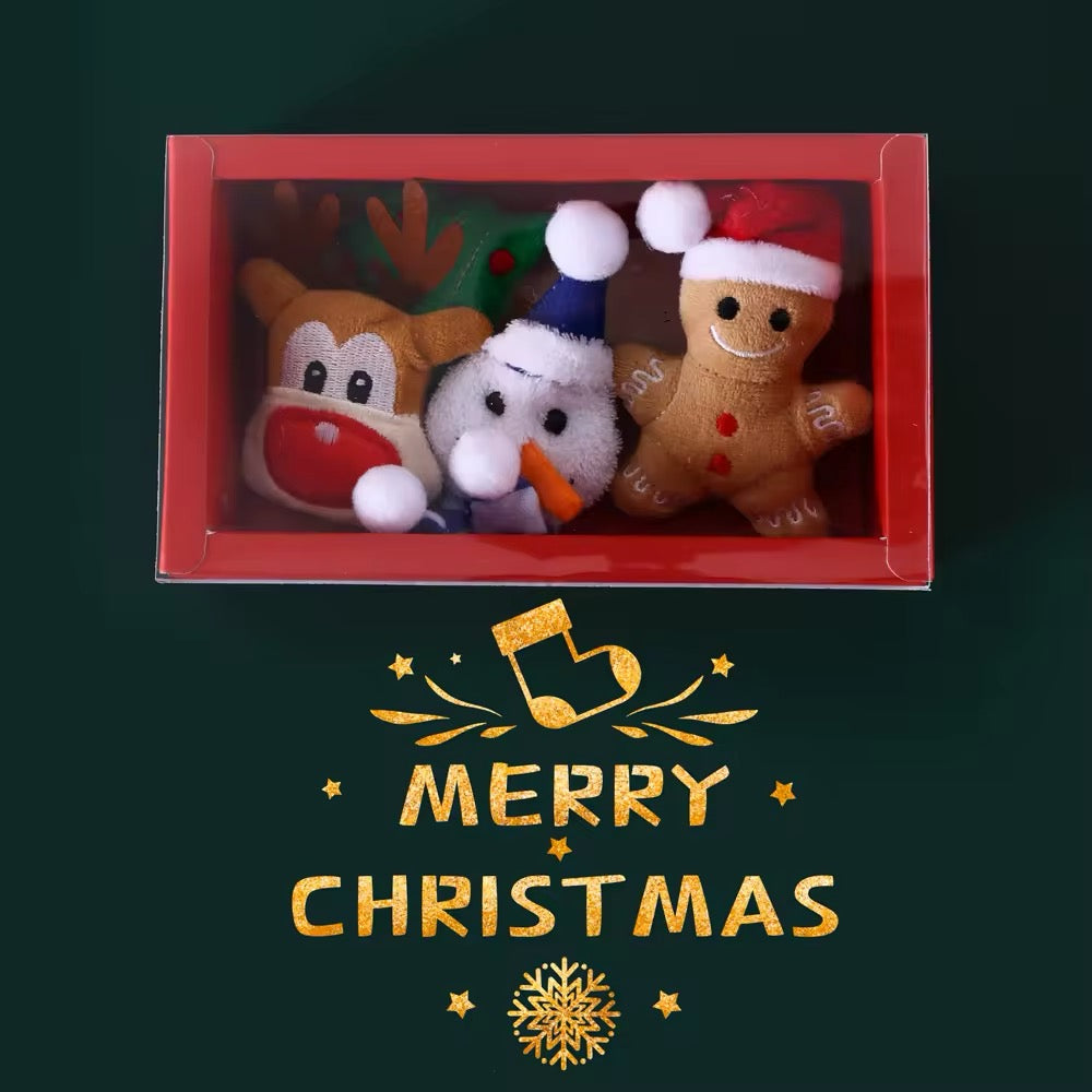 Merry Christmas Gift Box