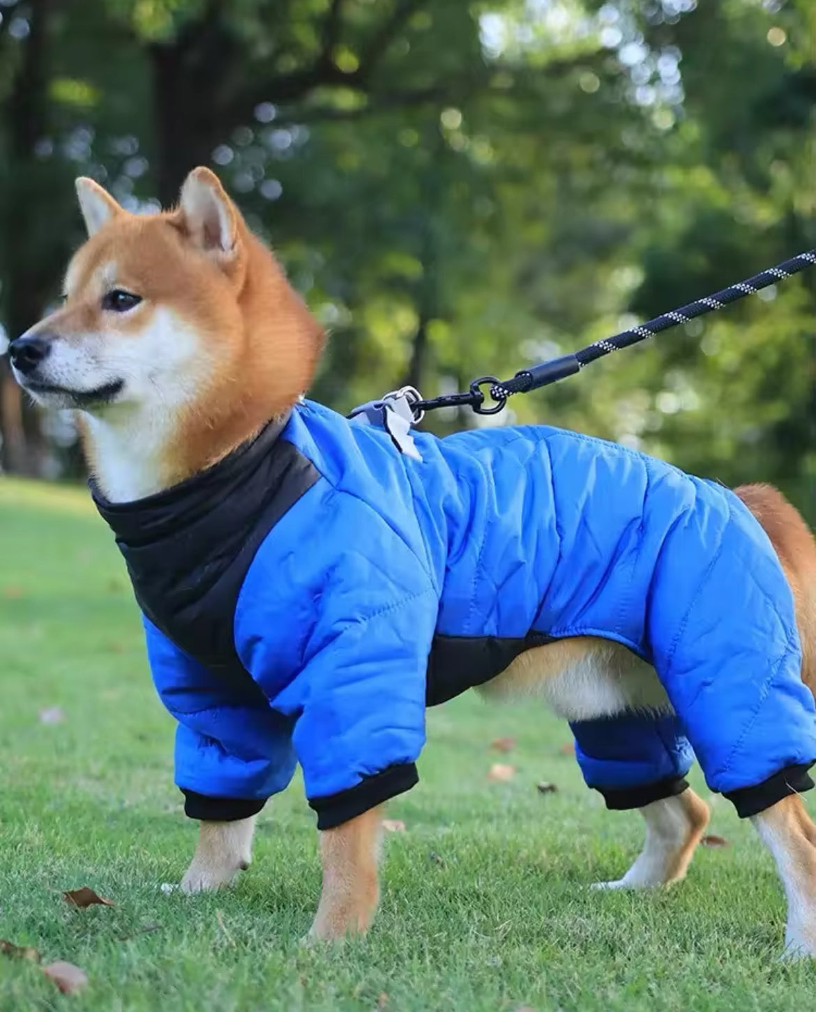 Vancouver Rain Jacket