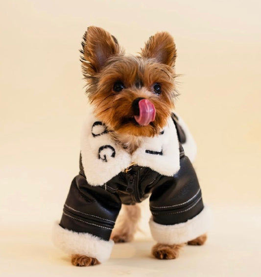 Biker Paw Jacket