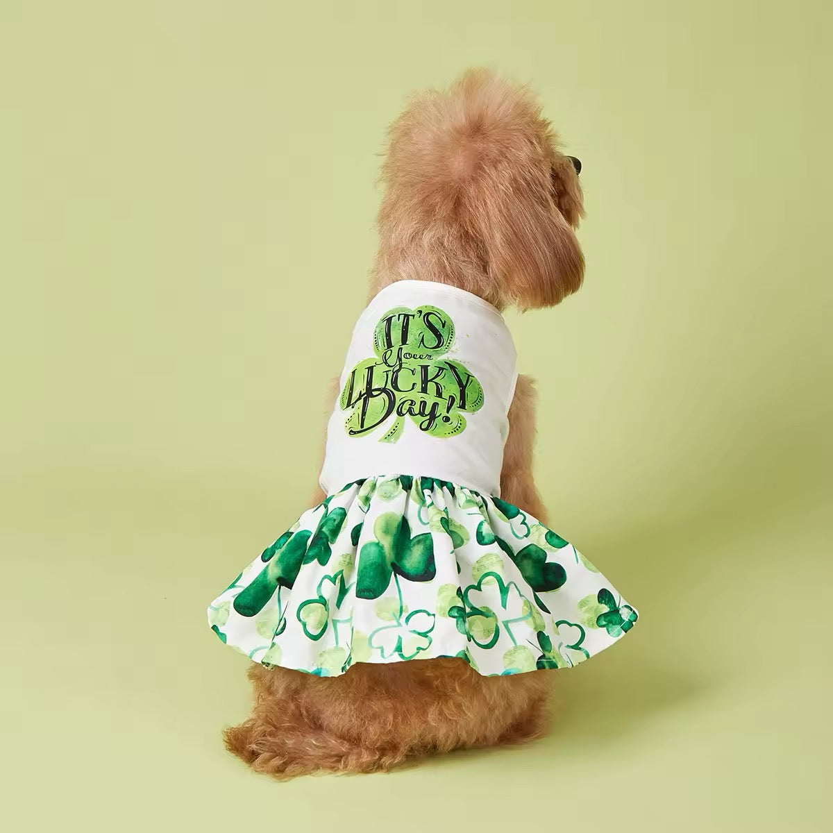 It’s Your Lucky Day Dress