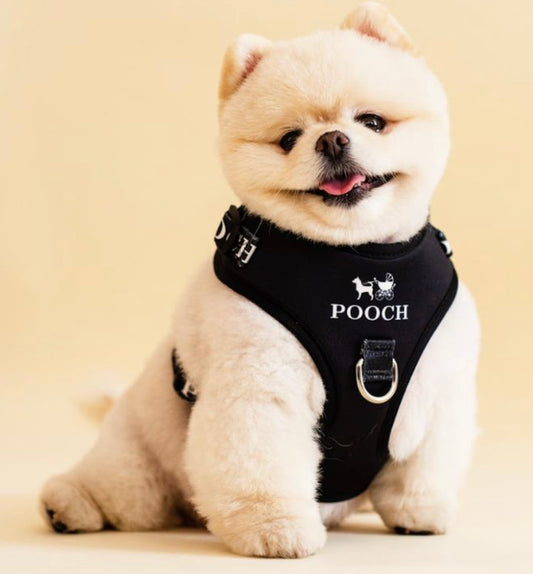 POOCH Harness