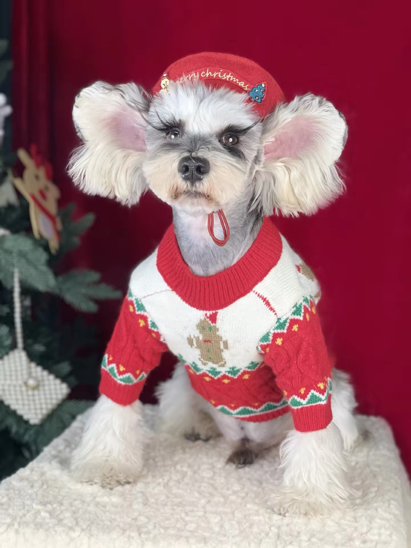 Christmas Sweater