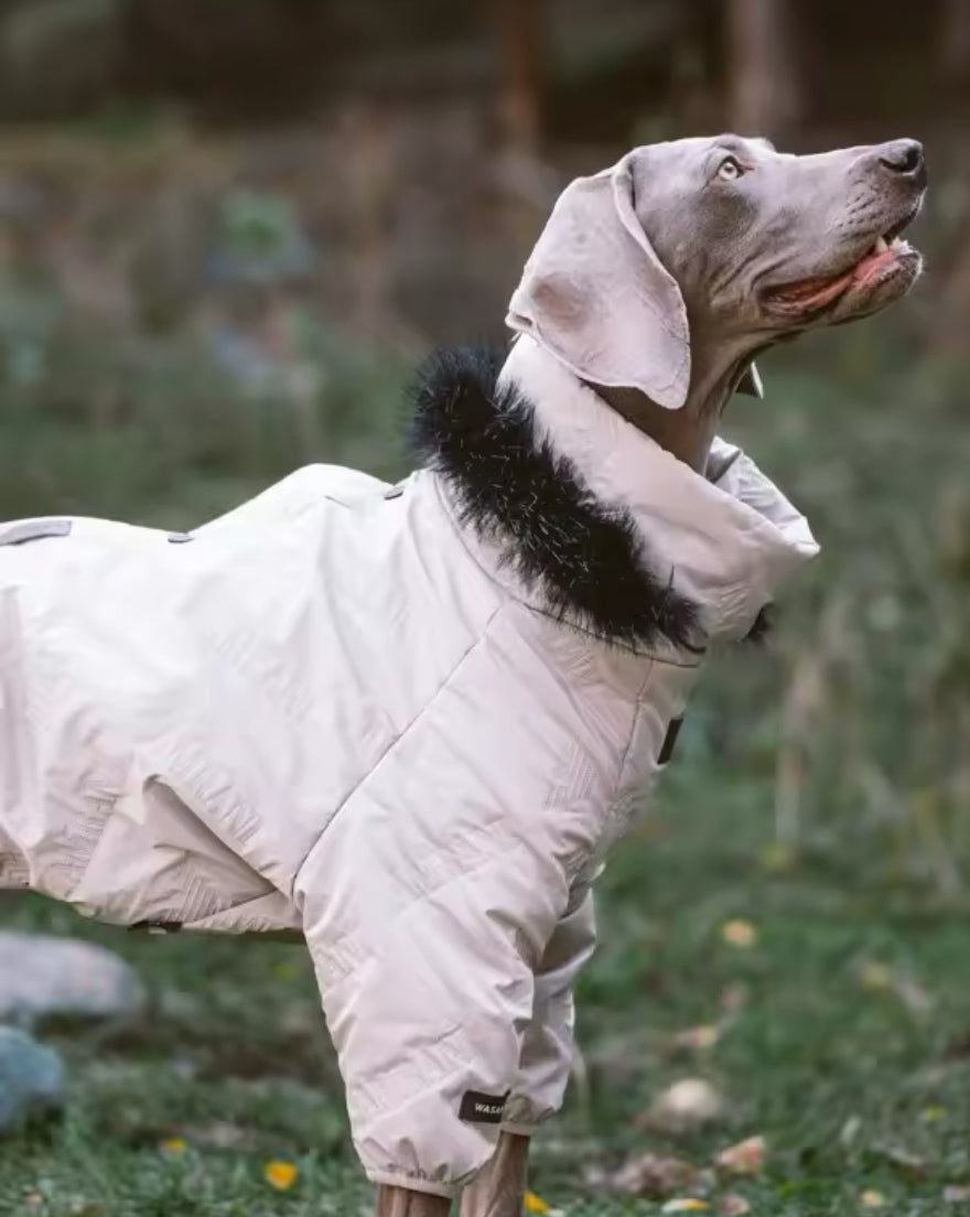 Winter Doggy Jacket