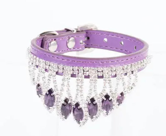 Royal Highness Dog Collar