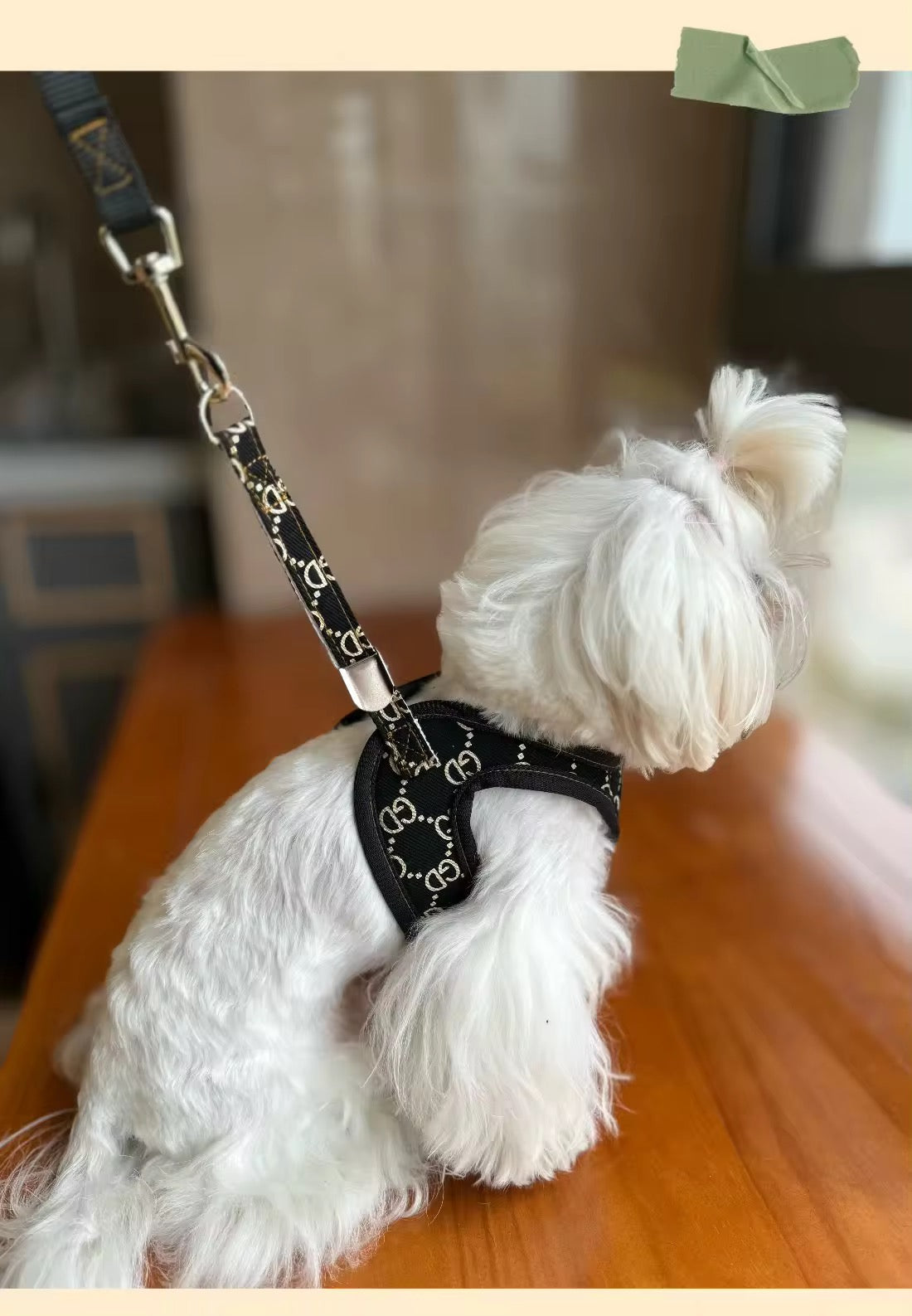 Gigi Harness & Leash Set