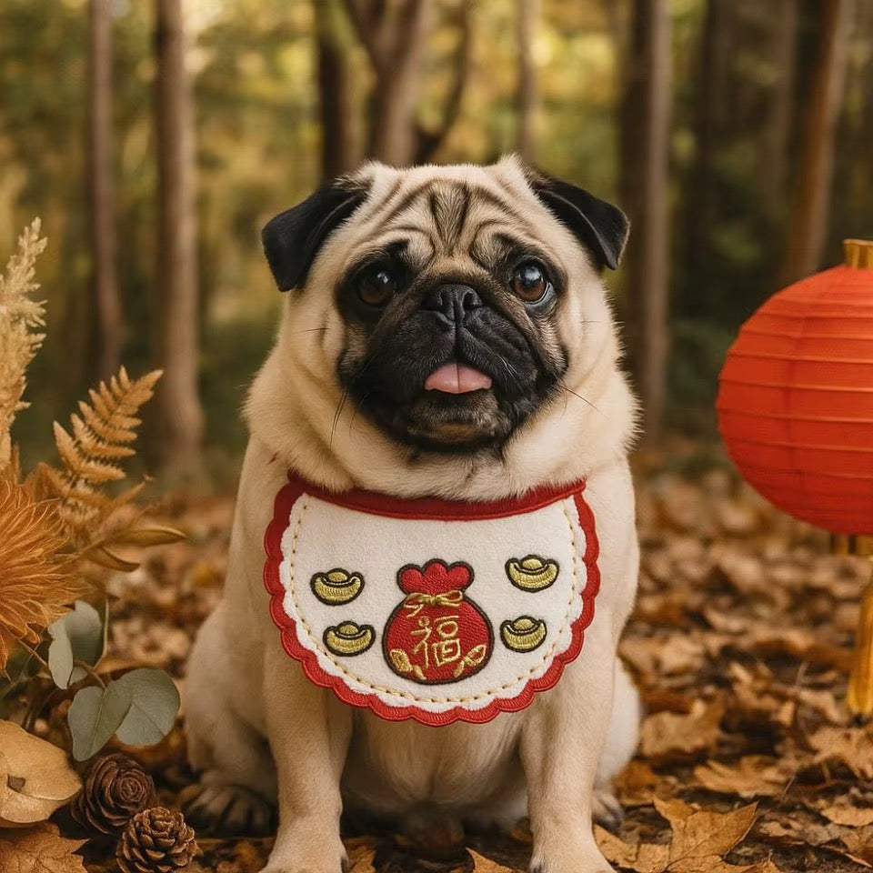 fortune blessing chinese new year pet bib dog cat lunar accessory doggy haute couture
