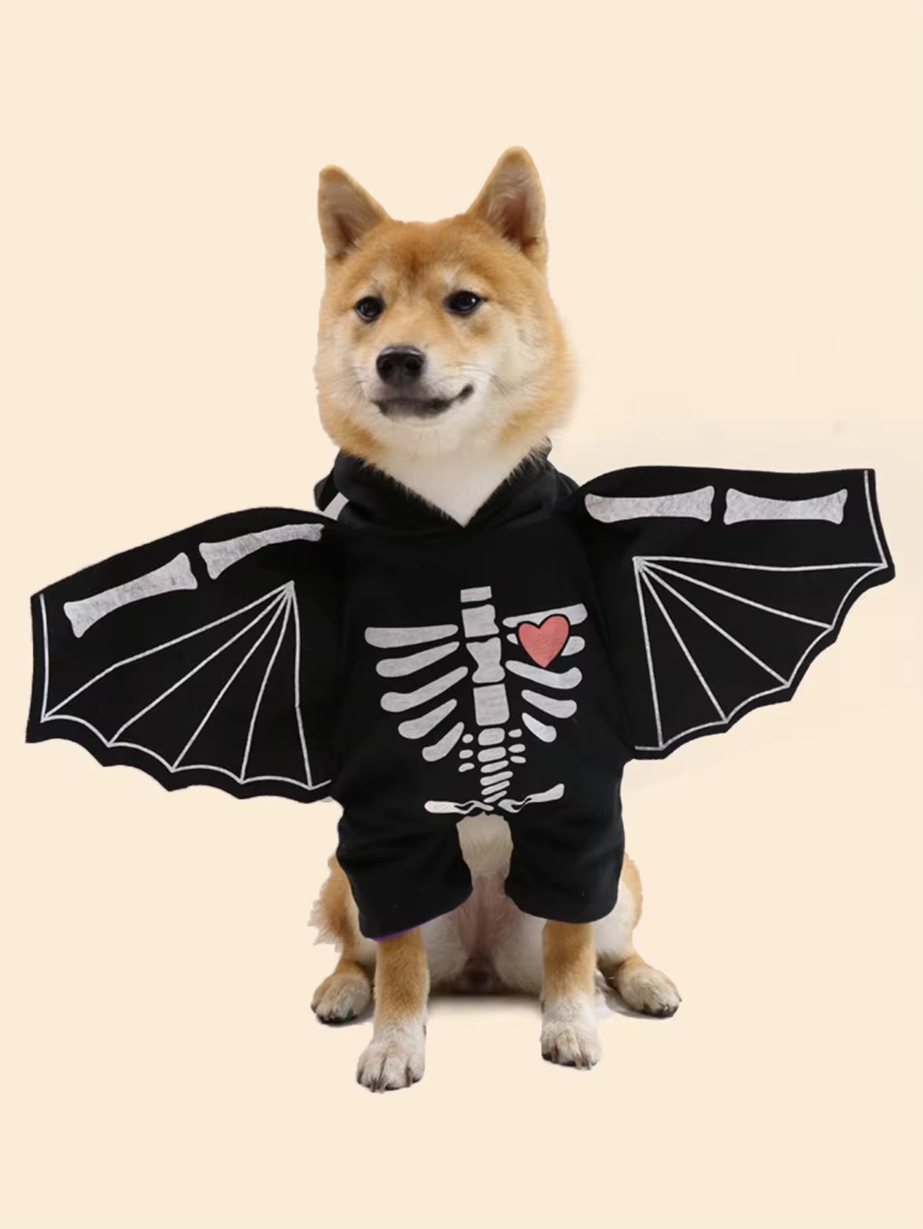 BatDog Halloween Costume