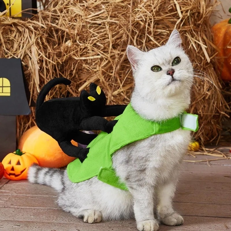 A Scaredy Cat Halloween Costume