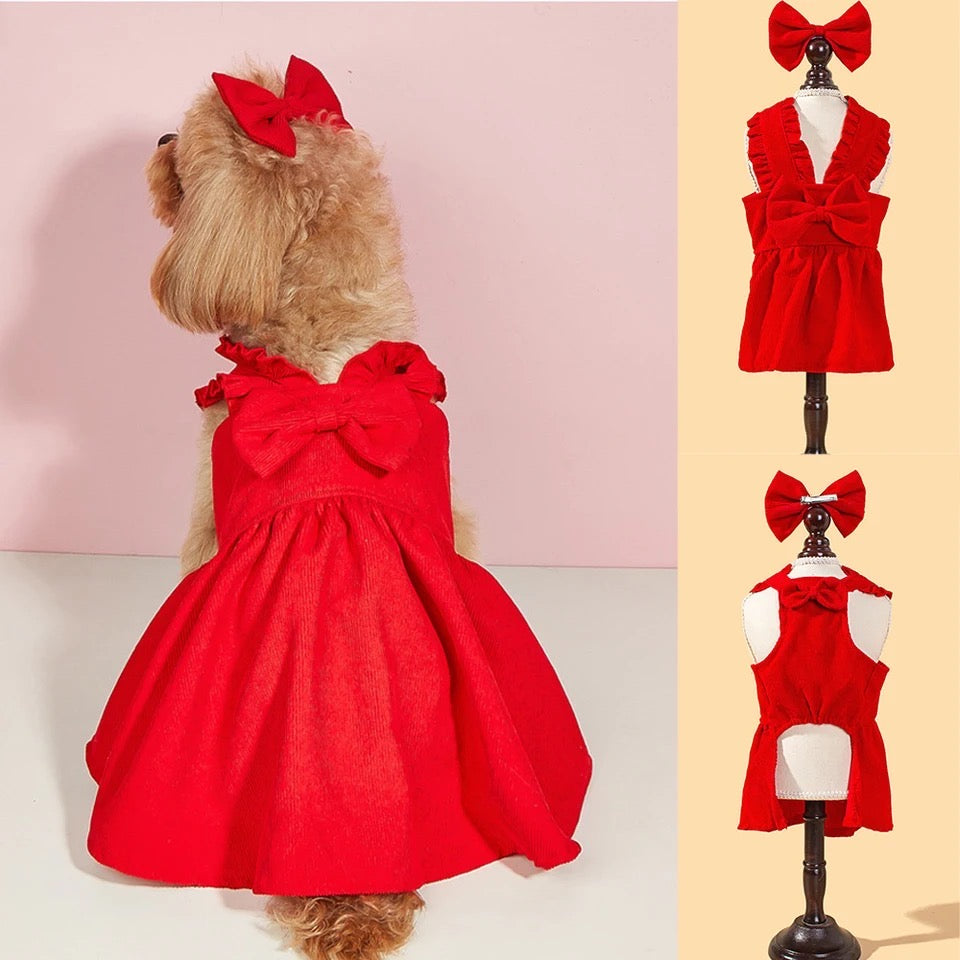 Ruby Red Dress Set