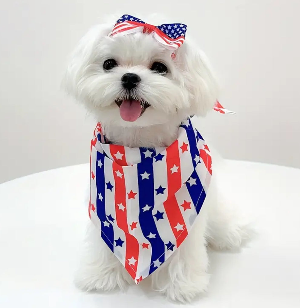 USA Bandana