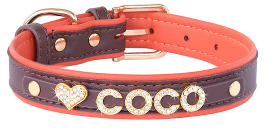 Personalized Dog Collar