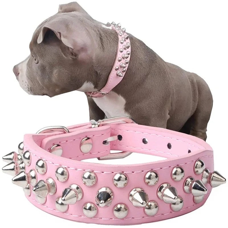 Stud Collar