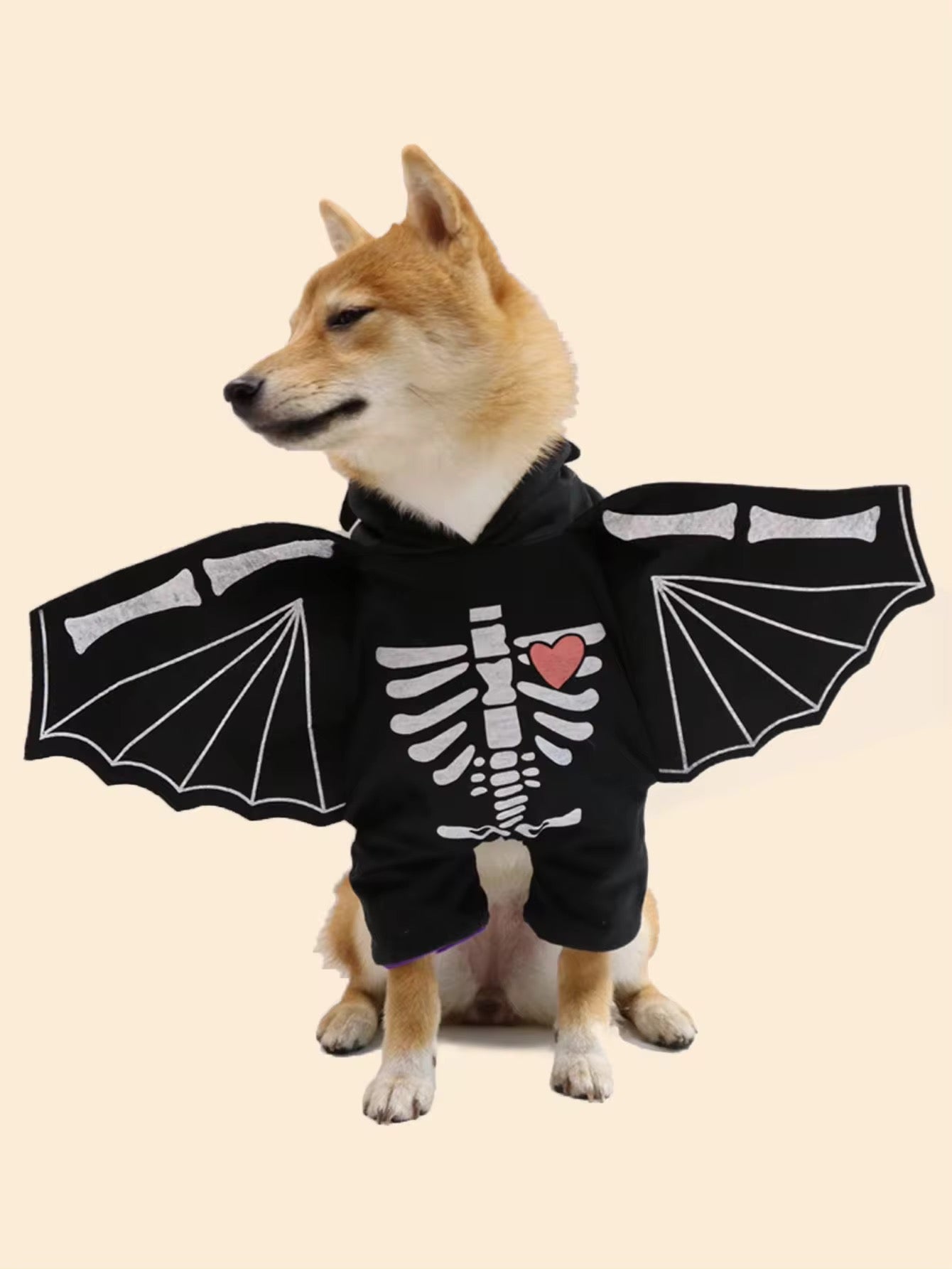 BatDog Halloween Costume