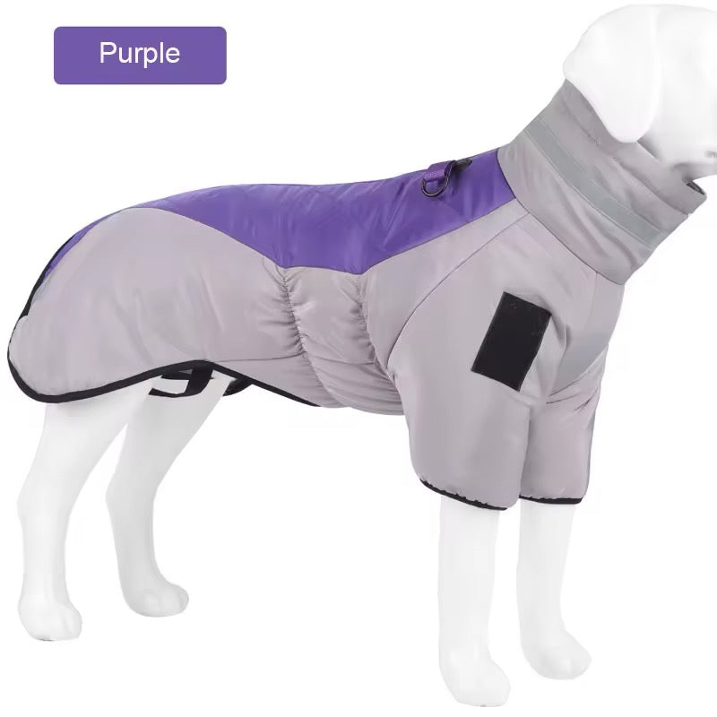 Winter Pet Jacket