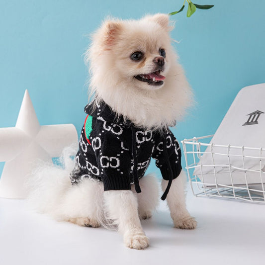 The Rise of Haute Couture For Dogs – Dog Fashion House