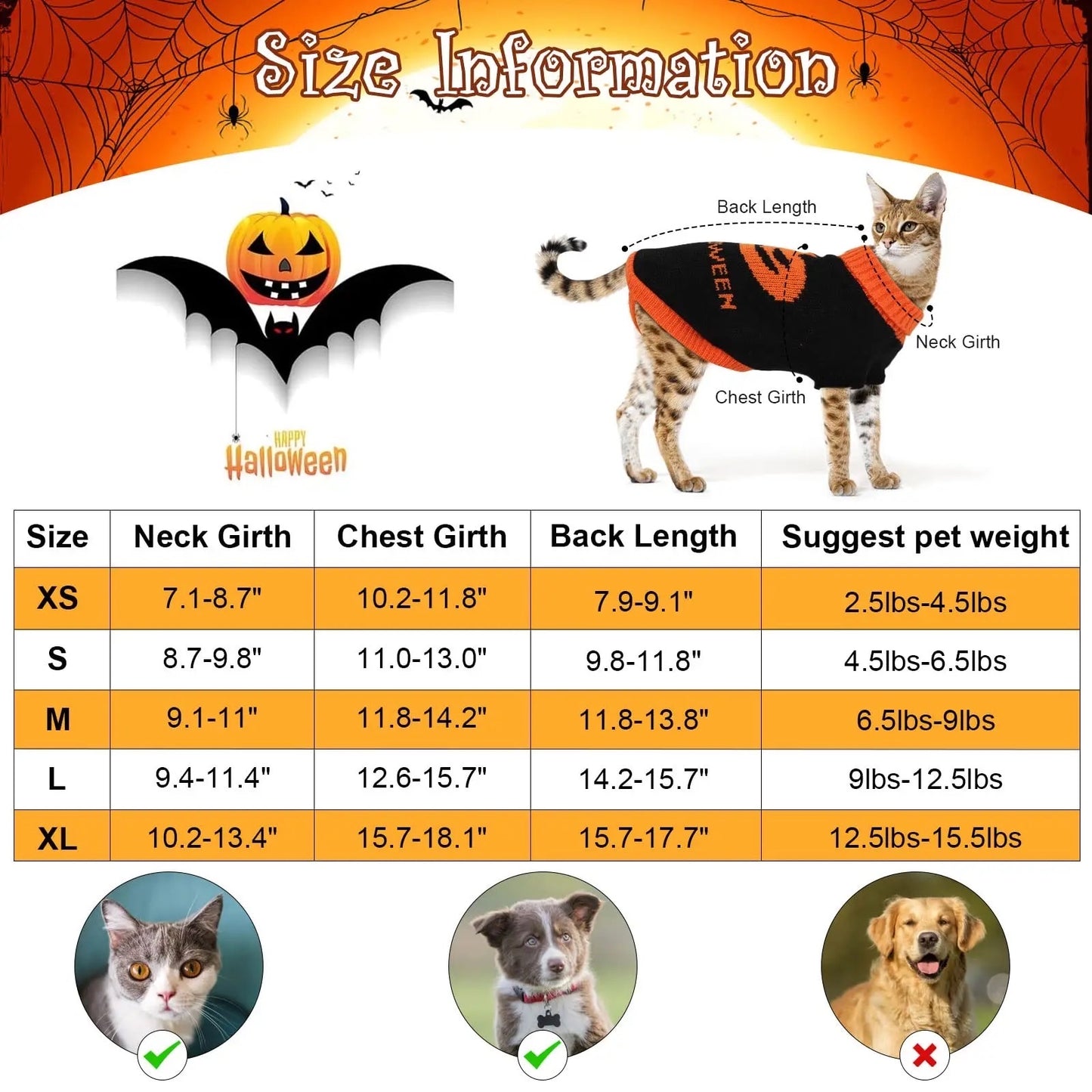 Pumpkin Bat Sweater Halloween Costume