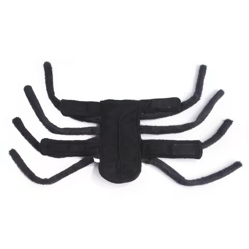 Spider Dog Halloween Collection