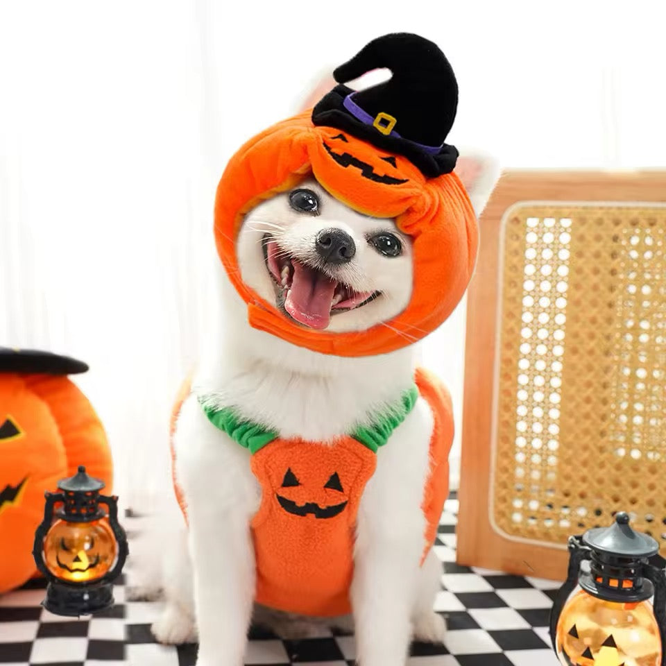 Pumpkin Halloween Costume