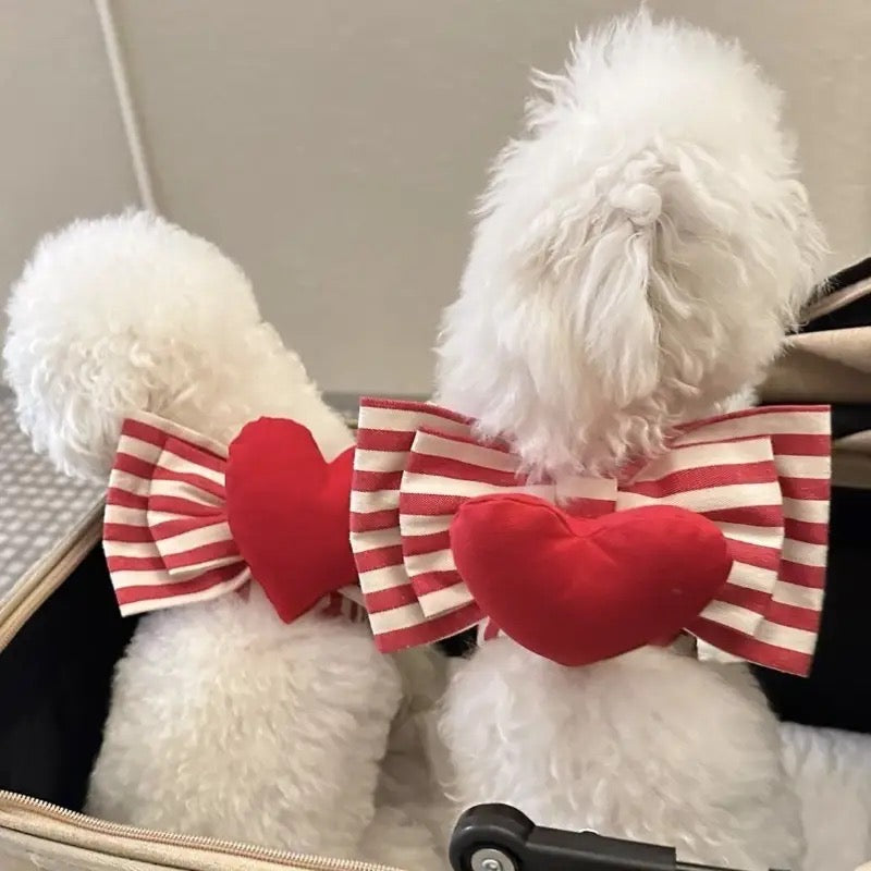 Valentine Harness