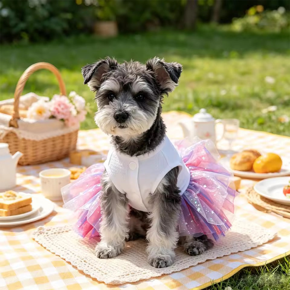 Fourth of July Dog Dress
