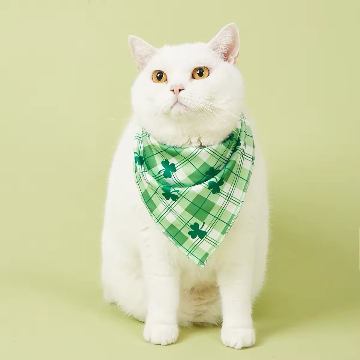 Saint Patrick’s Day Bandana